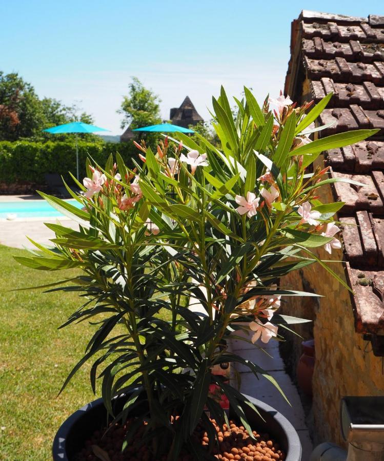 Le Clos De La Musardise - Gites De Charme Avec Piscine Chauffee Salignac Eyvigues Exterior foto